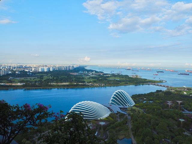 マリーナベイサンズ🇸🇬🦁🌴🐳