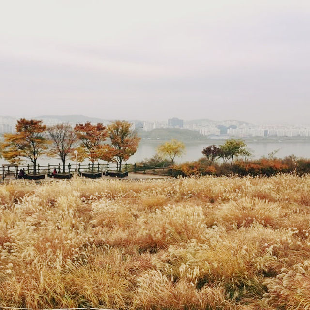 天空公園 하늘공원