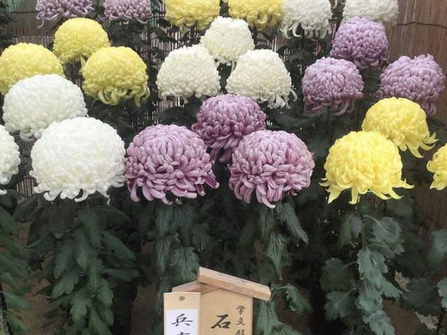 Okame Chaya At Nishinomiya 