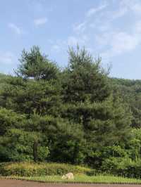 미동산수목원.  산책하기 딱 좋은 청주 외곽 여행지