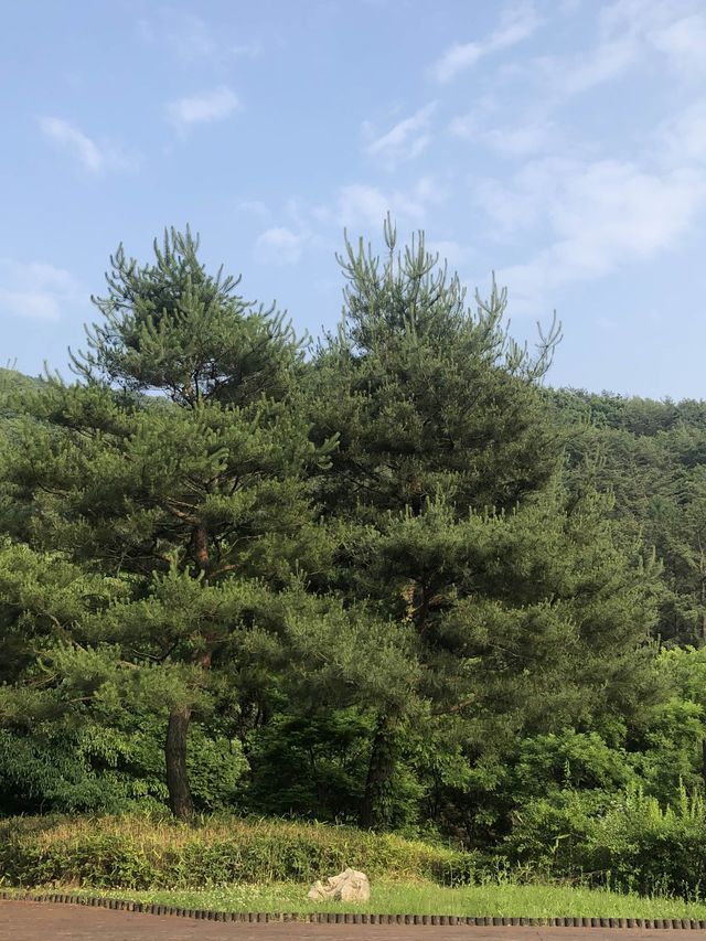 미동산수목원.  산책하기 딱 좋은 청주 외곽 여행지