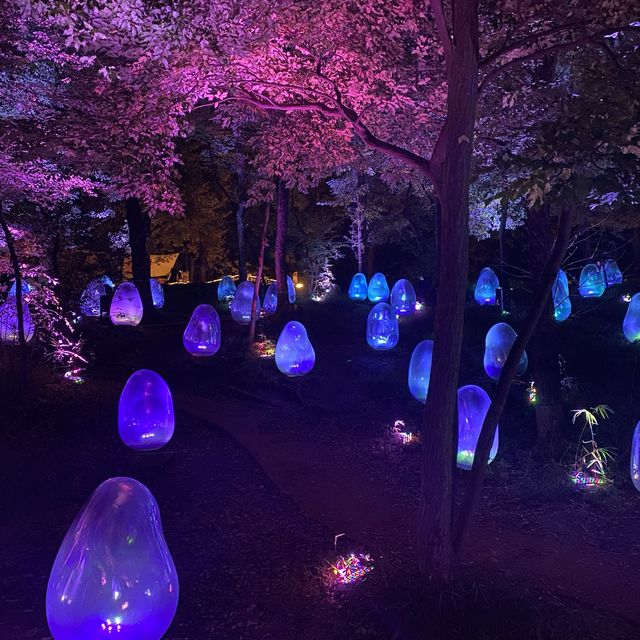 【所沢】チームラボ🥚武蔵野樹林パーク🍁