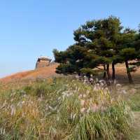 Suwon Hwaseong Fortress 