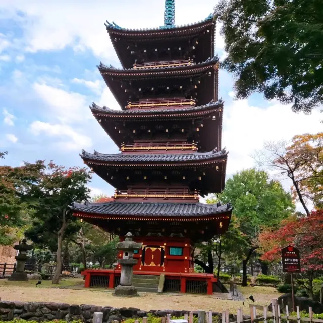 Not Just Animals, Ueno Zoo in Tokyo