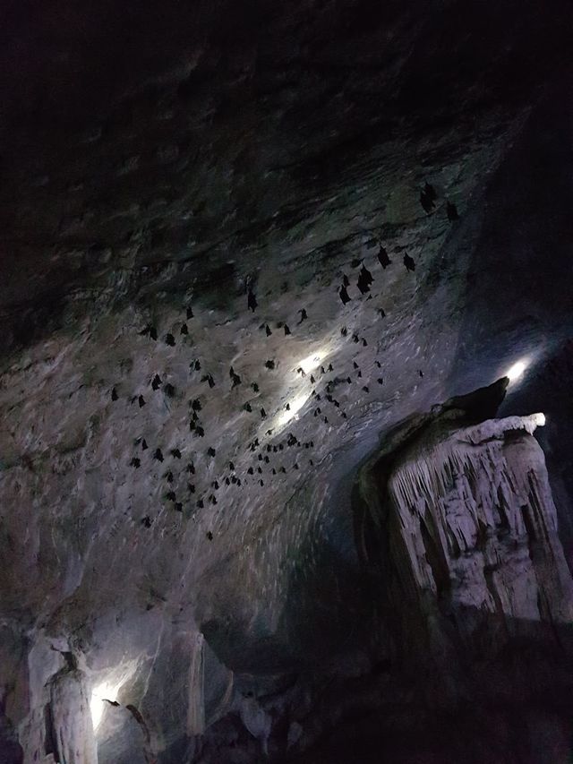 Bat cave Langkawi 🦇✨