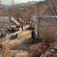 가야산으로 가야해!