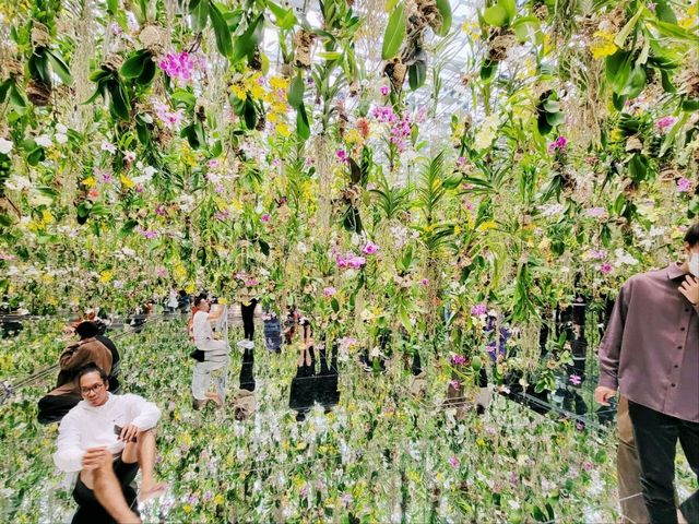 豐洲市場吃飽後好去處 豐洲teamLab Planets Tokyo美術館