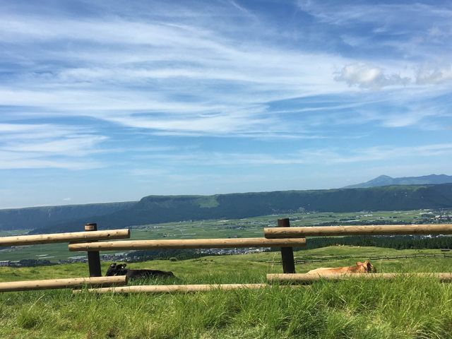 旅遊推介 九州站-阿蘇山