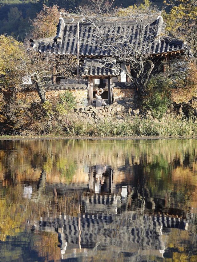 반영이 너무 예쁜 산책하기 좋은 밀양 위양지 🧡 가을버전