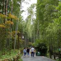 Nanshan Bamboo Sea - Liyang - Changzhou 