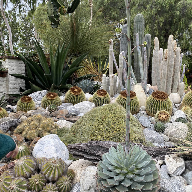 Beautiful Garden by Corona Del Mar Beach 🏝️ 