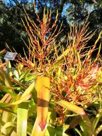 Bok Tower Gardens, Florida's hidden paradise