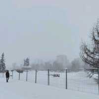beautiful winter 