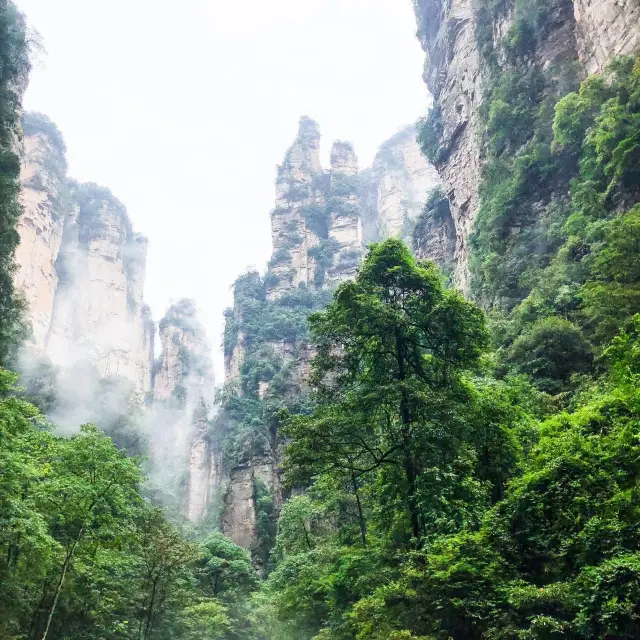 Zhangjiajie “The Avatar Mountains” 