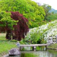 日本三大名園之～岡山後樂園