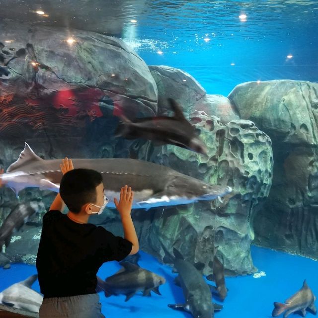 Shanghai Aquarium 