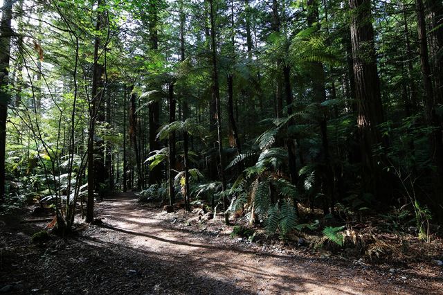 New Zealand's purest Blue Spring