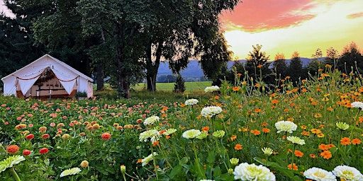 Amrita Screening + Benefit Concert (Portland) | Island Farm Studio