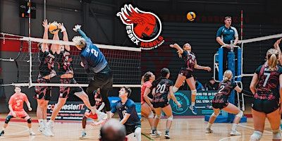 Volleyball Doubleheader: Rebels Men and Women vs. Durham Palatinates | UNIVERSITY OF ESSEX SPORTS ARENA