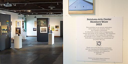 Artful Conversation: A Walk Through of Artworks in Our Members' Exhibition | Petaluma Arts Center