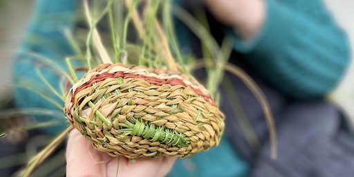 Weaving is Healing Two-day weekend workshop Brisbane Part 1 | Mount Coot-tha Botanic Gardens