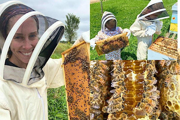 Immersive Bee Experience (Troy, ON) | Troy, Ontario (Hamilton)