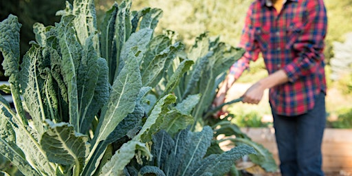 FREE: Growing Fall and Winter Vegetables (NORTH PORTLAND DEMO GARDEN) | Portland Edible Gardens Demonstration Garden