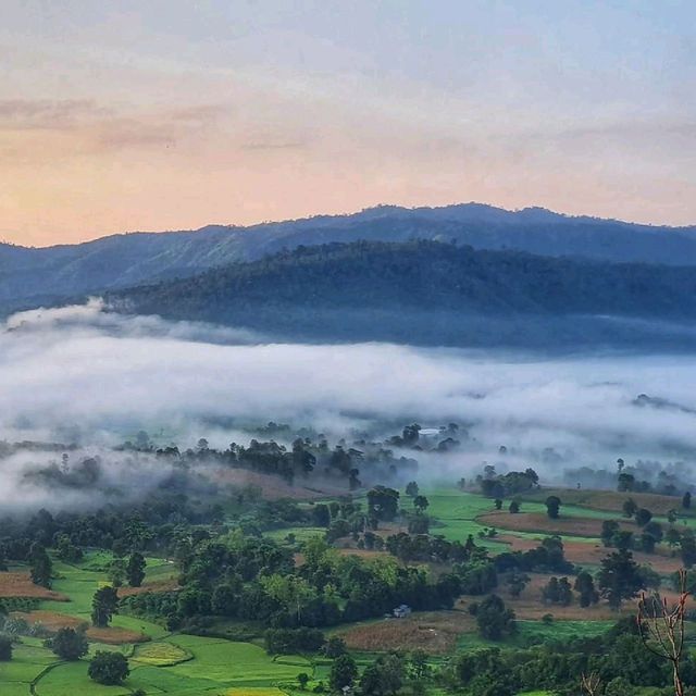 เขาโปกโล้น ทะเลหมอกงามกลางหุบเขา ⛰️