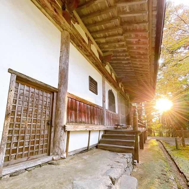 【紅葉巡り】湖東三山 百済寺