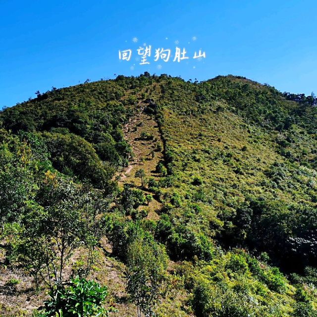 狗肚山