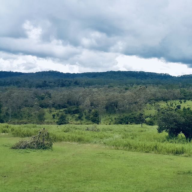 ลานกางเต็นท์หลักสิบ วิวระดับล้าน