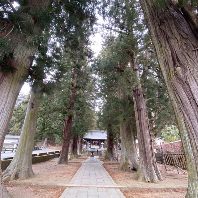 河口浅間神社の参道