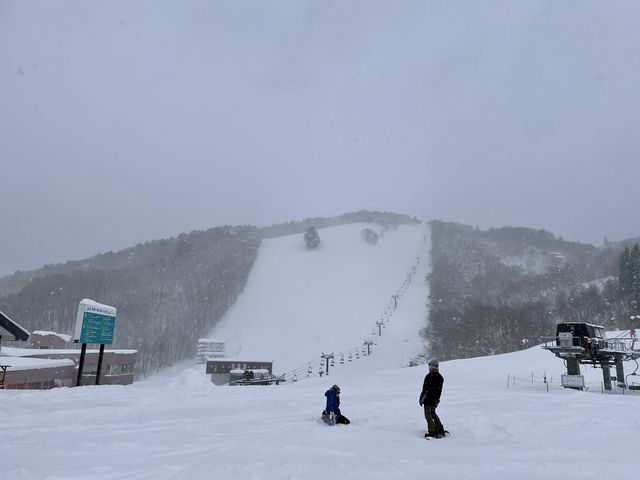 【秋田】たざわ湖スキー場③ゲレンデ＆レンタル