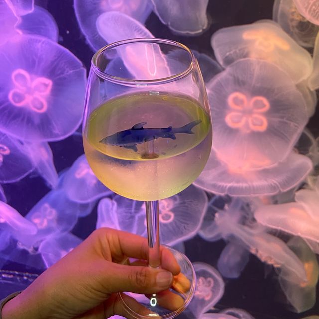 《我與水母有個約會💕》