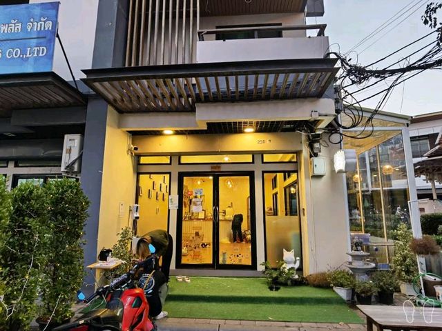 🐱 Cool Cat Cafe' คาเฟ่น้อนเหมียวใกล้มอชอ 🐱
