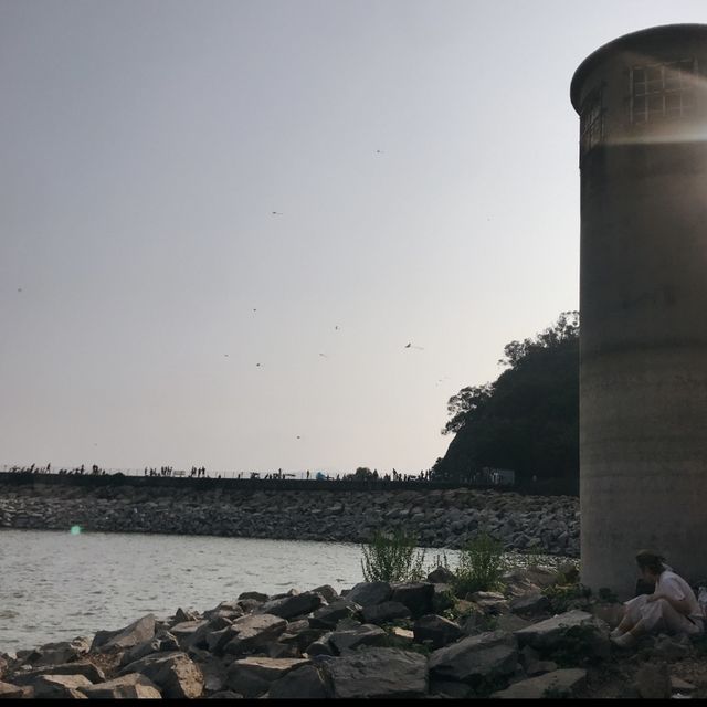 大美督水壩靚景