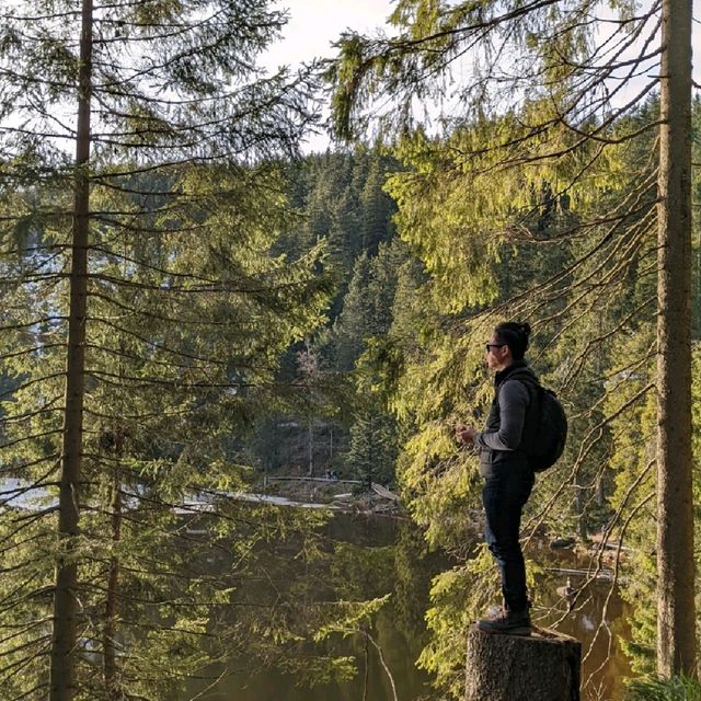 Scenic lake in Black Forest