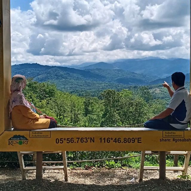 Sabah Tea Plantation