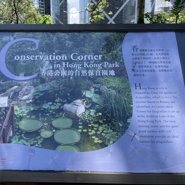 自然保育園地-香港公園 自然保育園地-香港公園