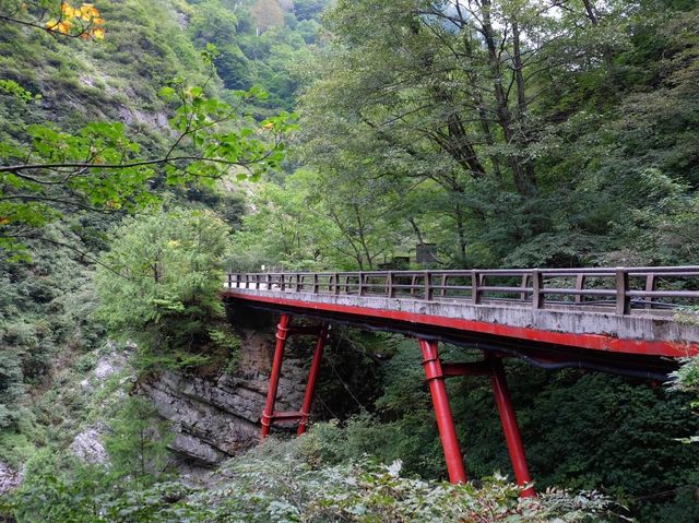 日本富山縣➡️黑部峽谷秘境📸️📸️