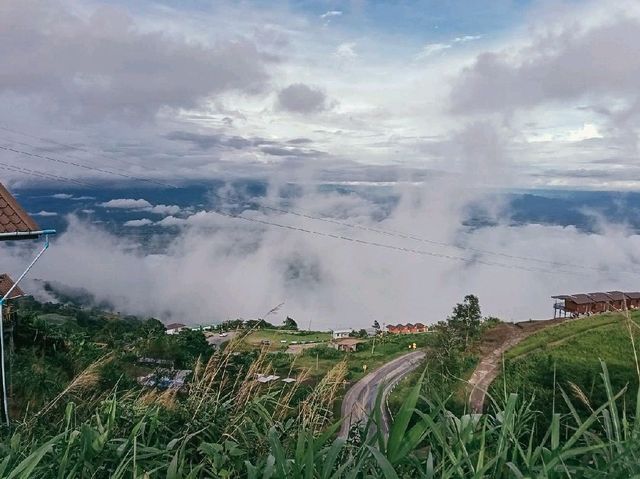 บ้านพักไร่ดาวเพียงดิน 1 ผาหัวสิงห์ ภูทับเบิก