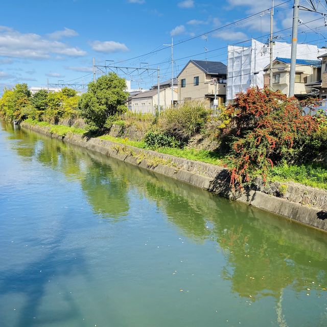 京都「伏見稻荷大社」之「千本鳥居」 💁🏻‍♂️ 連續兩年被票選為外國人訪日最受歡迎的景點
