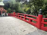 参道がものすごく長い！氷川神社！