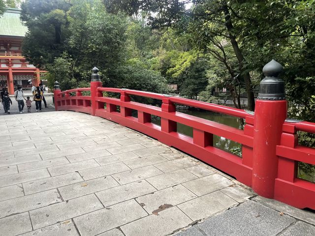 参道がものすごく長い！氷川神社！