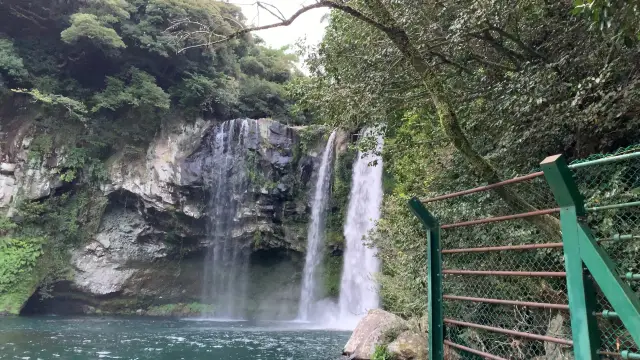 Cheonjiyeon Waterfalls 🦆
