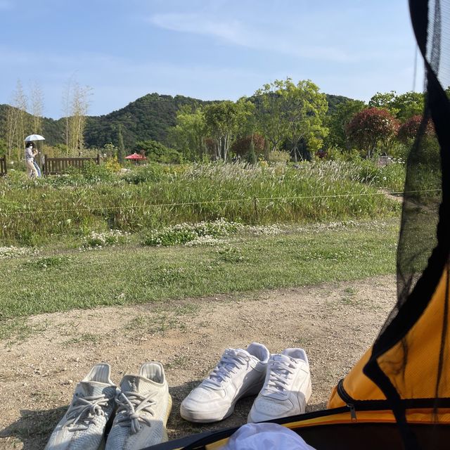 울산 텐트/돗자리 피크닉 🌱 태화강 국가정원 울산 텐트/돗자리 피크닉 🌱 태화강 국가정원