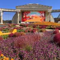韓国【エバーランド】コキアやコスモスが綺麗🧡秋の庭園