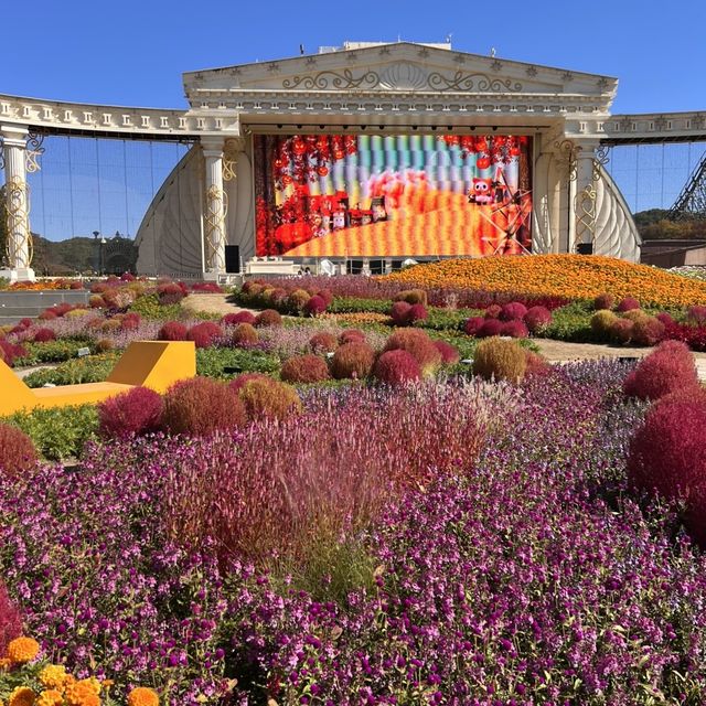 韓国【エバーランド】コキアやコスモスが綺麗🧡秋の庭園 韓国【エバーランド】コキアやコスモスが綺麗🧡秋の庭園