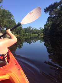 Palmetto Dunes Lagoon, South Carolina🌸🌺🛶