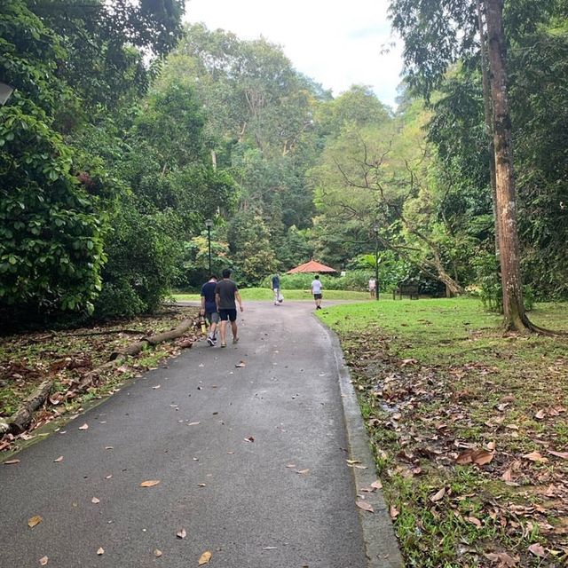 Bukit Batok Nature Park